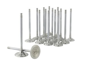 Acura Integra Engine Valve Set - Skunk2 Racing - Alpha Series, Stock Size, Standard Compression - `94-`01